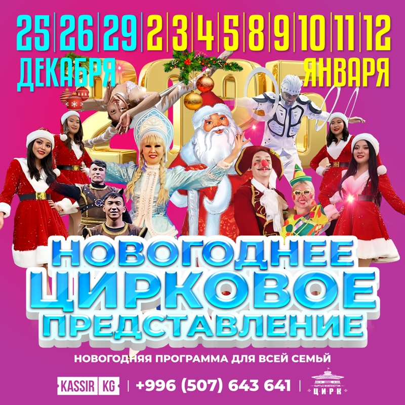 НОВОГОДНЕЕ ЦИРКОВОЕ ПРЕДСТАВЛЕНИЕ 