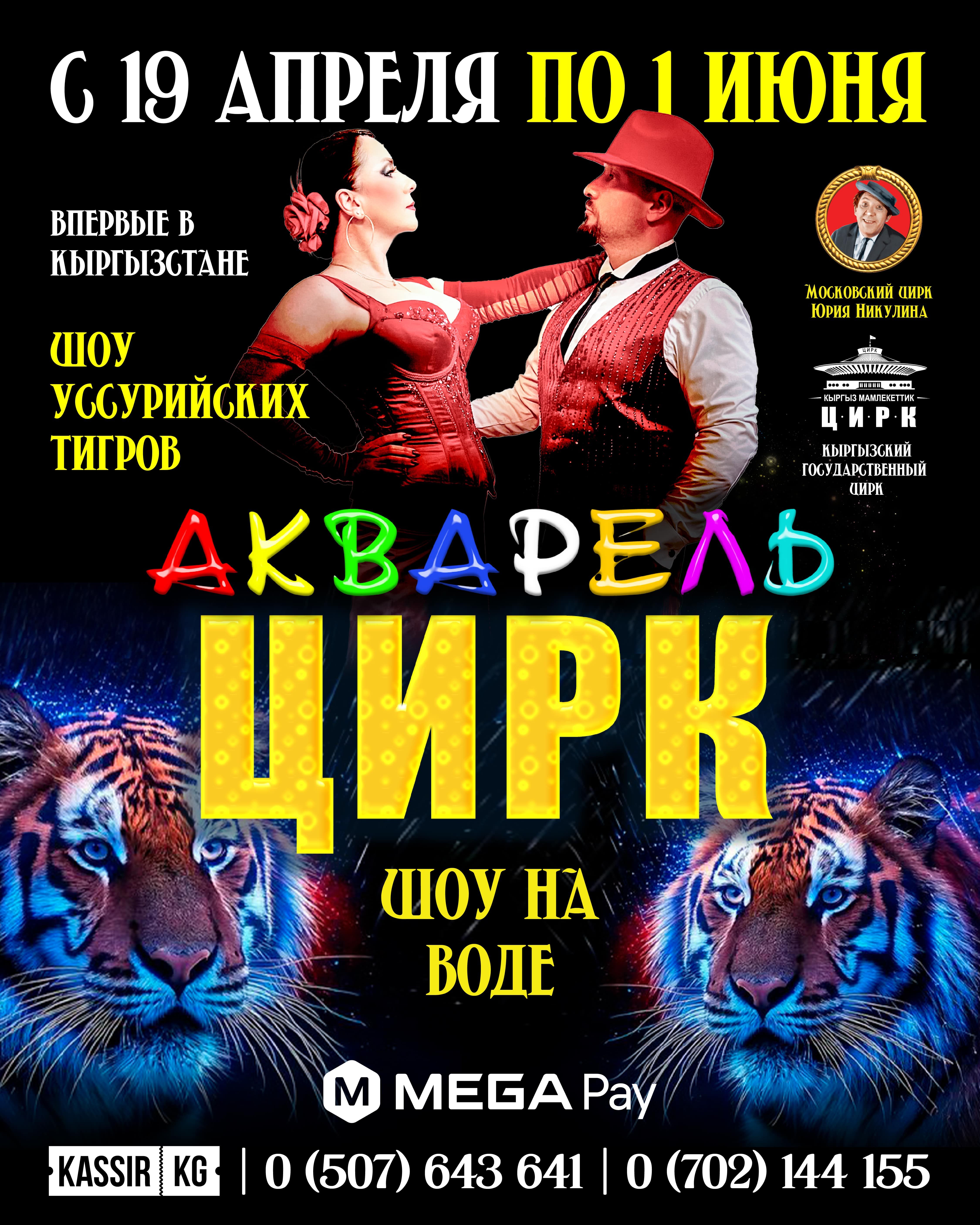 Цирк «Акварель» в Бишкеке