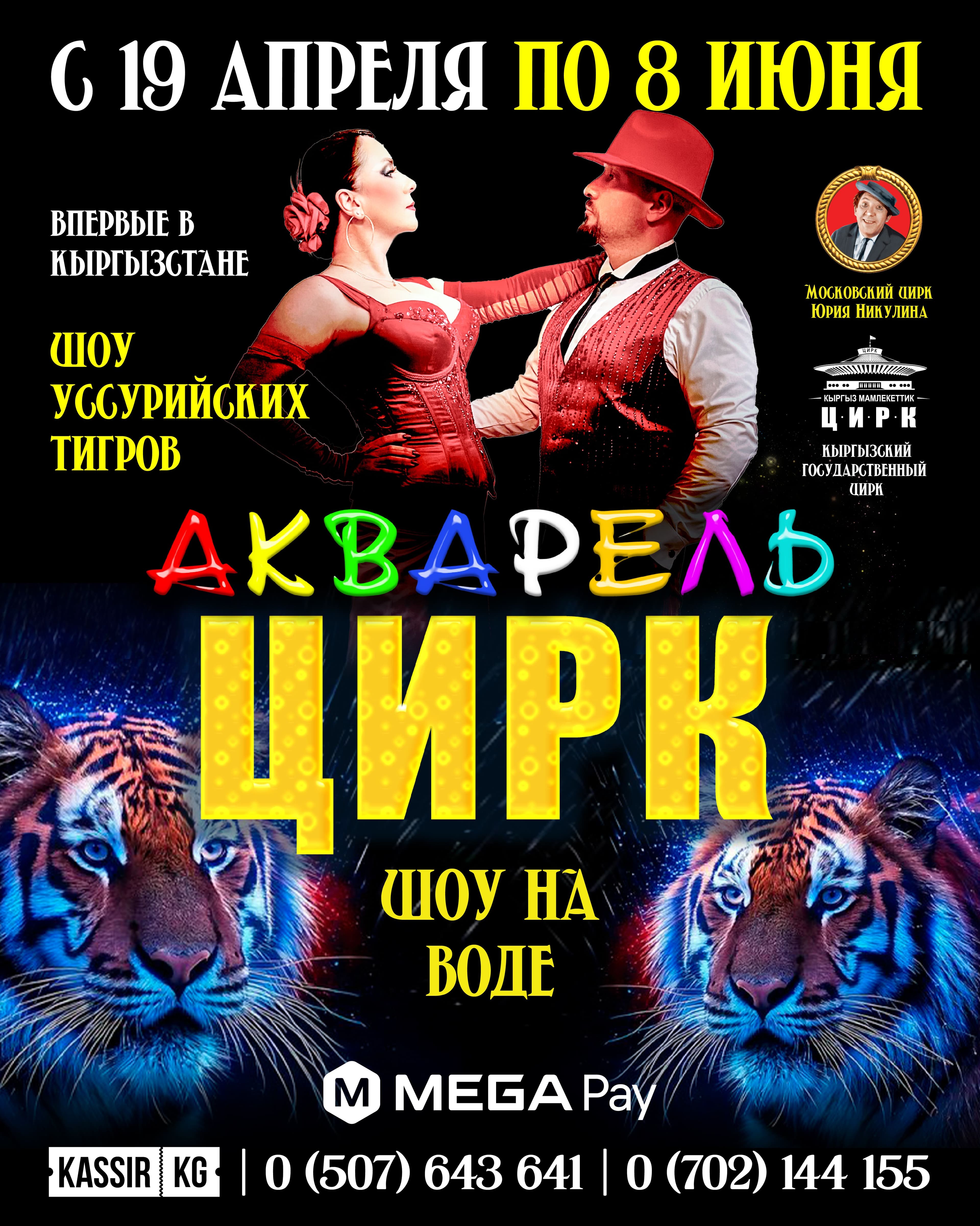 Цирк «Акварель» в Бишкеке