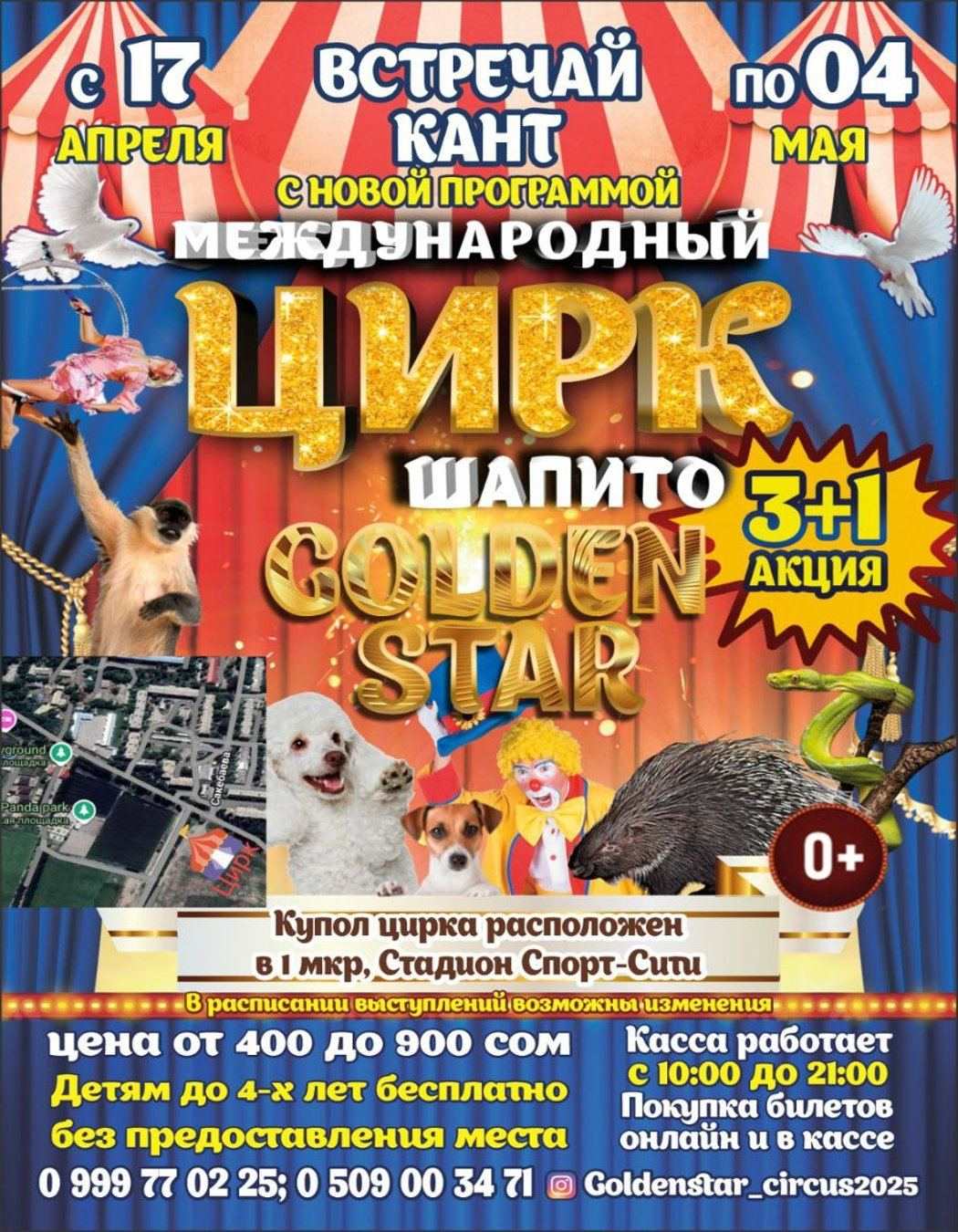 Шапито Golden star