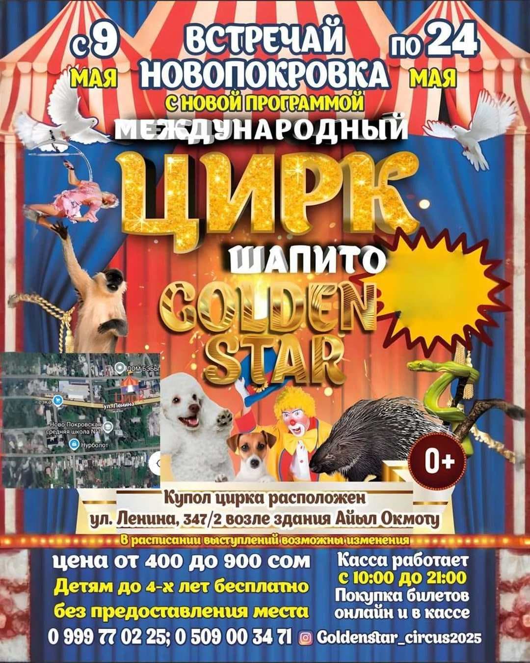 Шапито Golden Star ( Новопокровка)