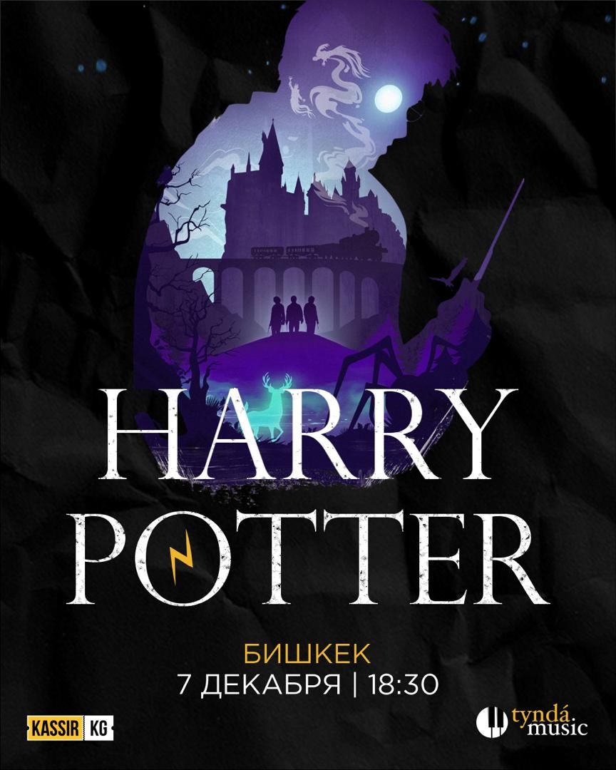 Harry Potter and wizards of Tynda Music