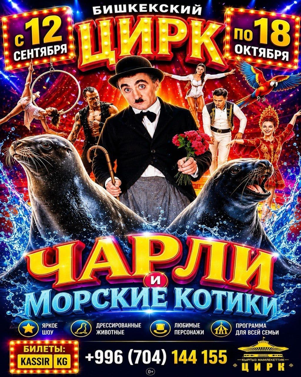 Цирк Чарли и Морские котики